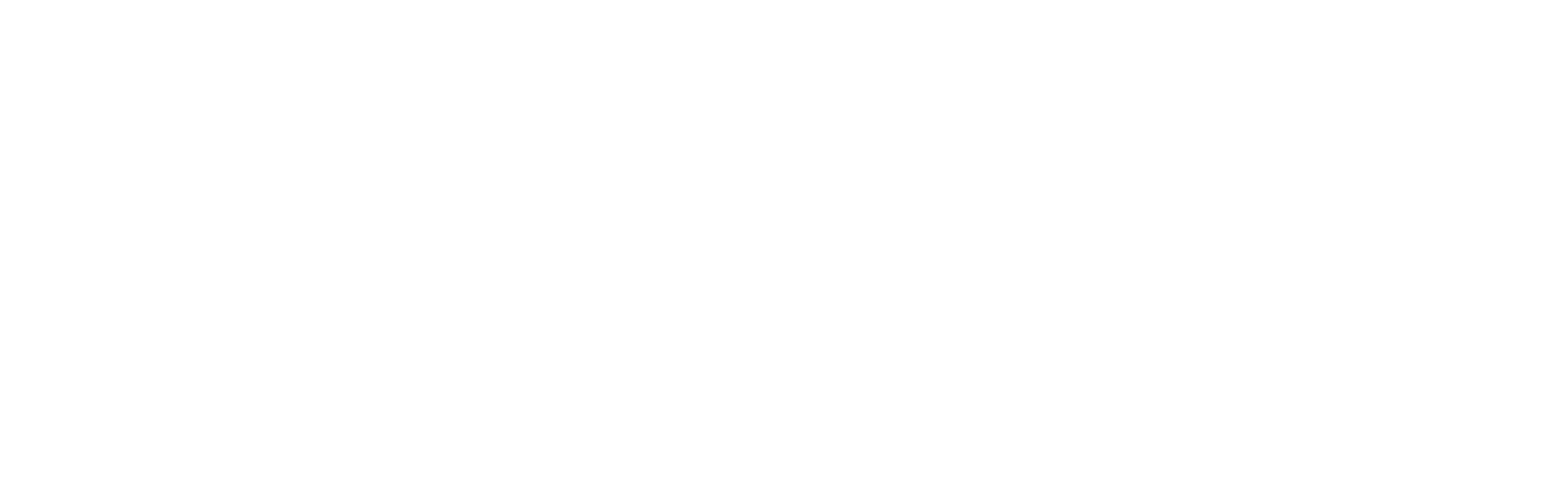 United Nations Logo